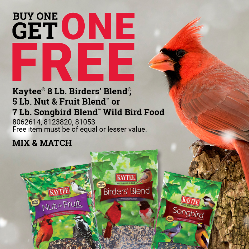 Buy One Get One Free Select Kaytee® Bird Seed